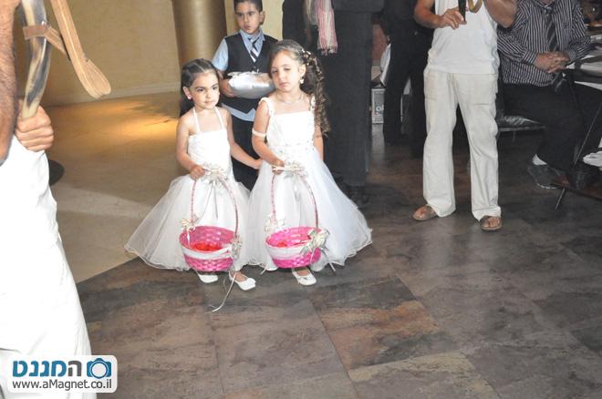 תמונה גדולה